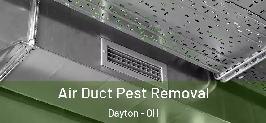 Air Duct Pest Removal Dayton - OH