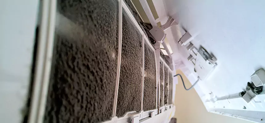 Preventive Air Duct Bacteria Removal in Dayton