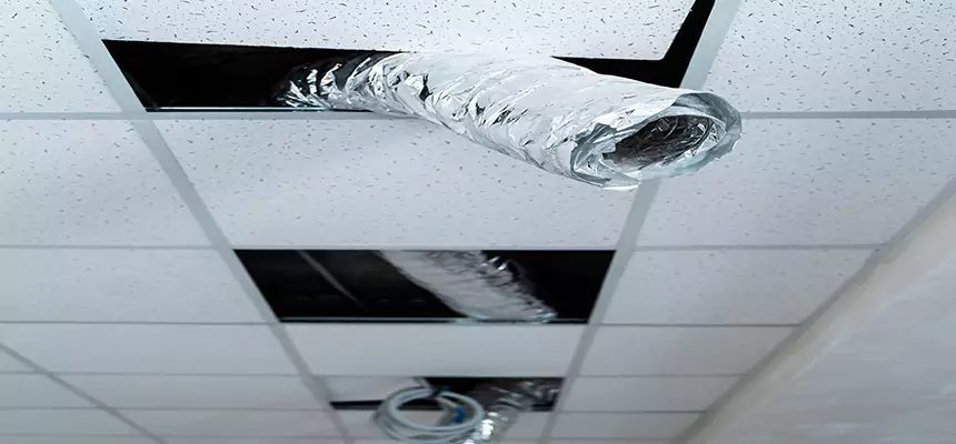 Affordable HVAC Sanitizing After Pest Removal in Dayton