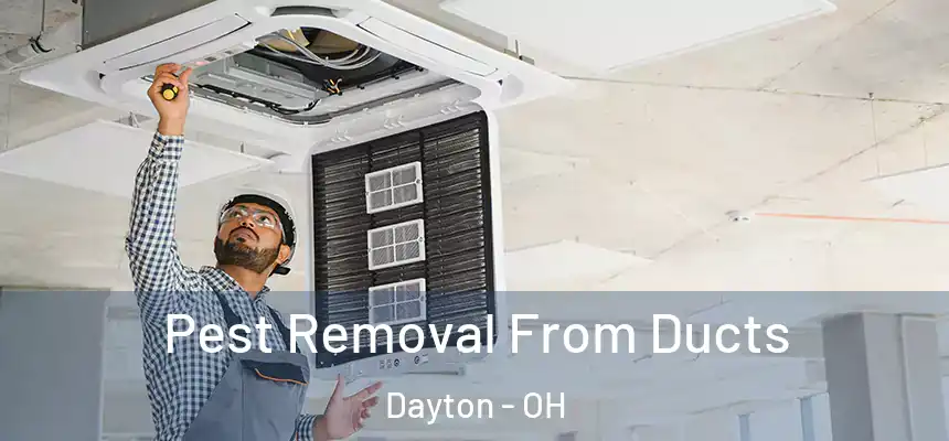  Pest Removal From Ducts Dayton - OH
