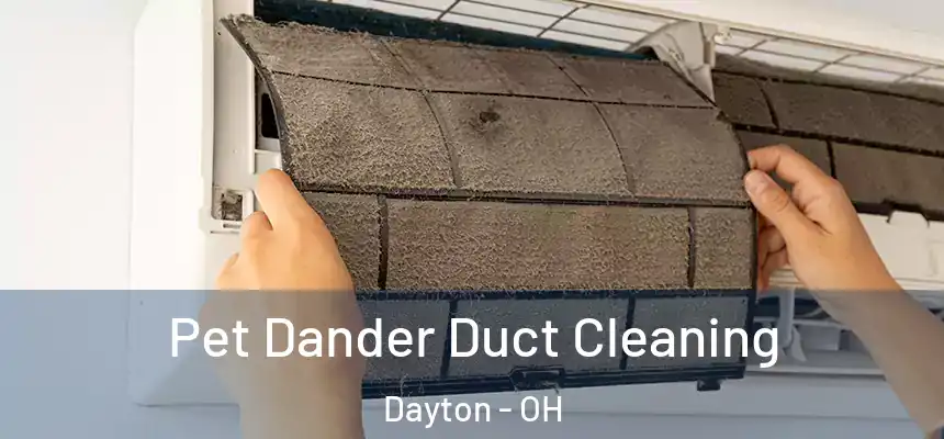  Pet Dander Duct Cleaning Dayton - OH