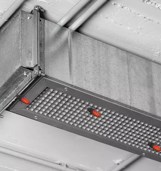 Affordable Insect Removal from Air Ducts in Dayton, OH