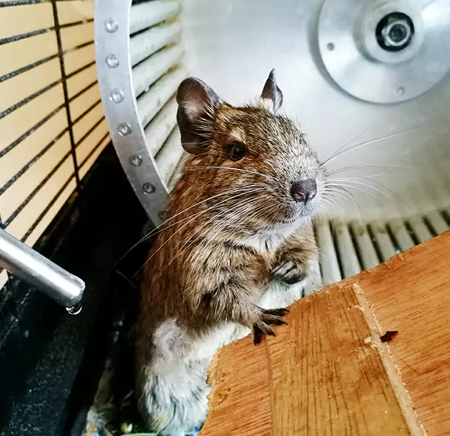 Why Homeowners & Businesses Trust Us Dayton, OH?